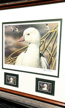 Load image into Gallery viewer, Sherrie Russell Meline 2006 Federal Duck  Stamp Print With Double Stamps - Brand New Super Custom Sporting Frame