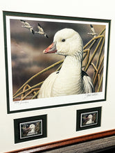 Load image into Gallery viewer, Sherrie Russell Meline 2006 Federal Duck  Stamp Print With Double Stamps - Brand New Super Custom Sporting Frame