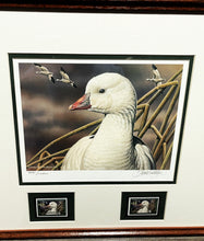 Load image into Gallery viewer, Sherrie Russell Meline 2006 Federal Duck  Stamp Print With Double Stamps - Brand New Super Custom Sporting Frame