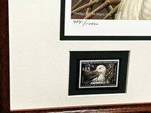 Load image into Gallery viewer, Sherrie Russell Meline 2006 Federal Duck  Stamp Print With Double Stamps - Brand New Super Custom Sporting Frame