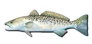 Texas Sporting Art