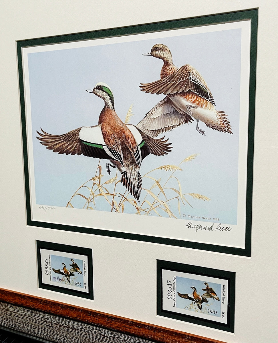 Maynard Reece 1983 Texas Waterfowl Duck Stamp Print With Double