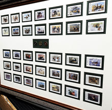 Load image into Gallery viewer, Texas Waterfowl Duck Stamps Complete Set 1981 To 2015 With Shotshell Shadow Box - Brand New Super Custom Sporting Frame