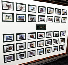 Load image into Gallery viewer, Texas Waterfowl Duck Stamps Complete Set 1981 To 2015 With Shotshell Shadow Box - Brand New Super Custom Sporting Frame