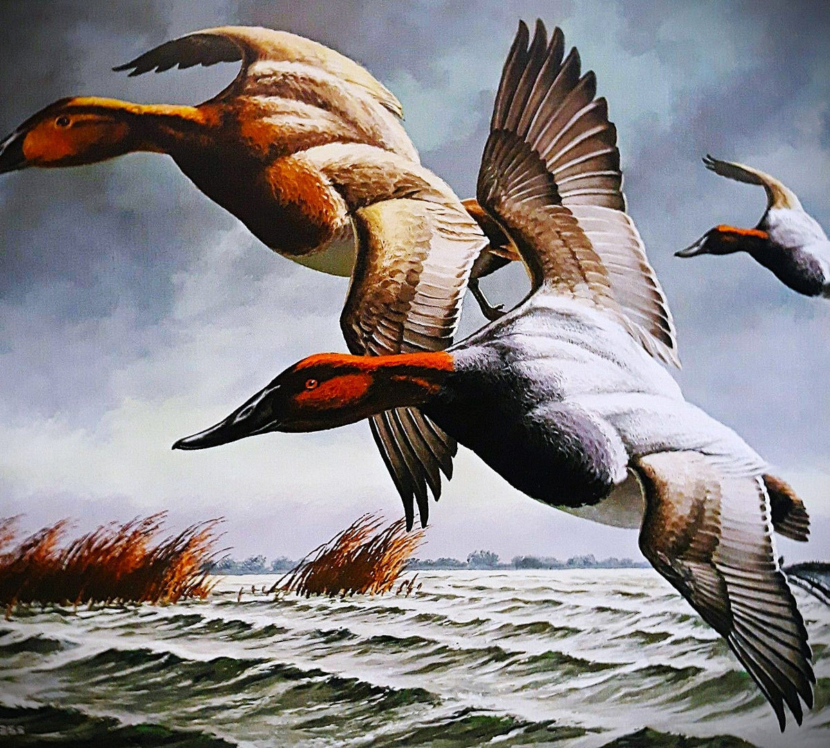 STAMP PRINTS: WATERFOWL FEDERAL – Page 5 – Texas Sporting Art