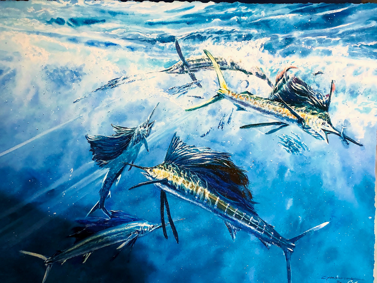 Chance Yarbrough - Surface Action Sails - Full Sheet GiClee - Brand New Custom Sporting Frame