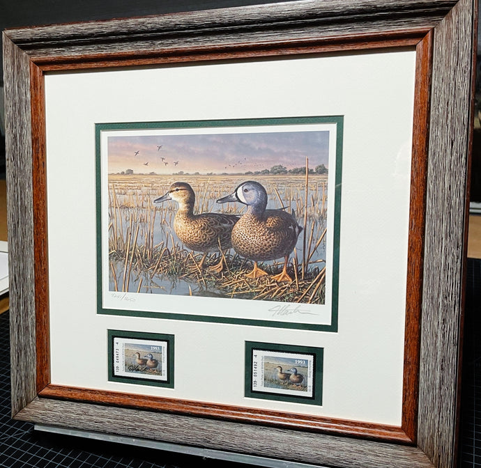 James Hautman 1993 Texas Waterfowl Duck Stamp Print With Double Stamps - Brand New Super Custom Sporting Frame