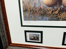 Load image into Gallery viewer, James Hautman 1993 Texas Waterfowl Duck Stamp Print With Double Stamps - Brand New Custom Sporting Frame