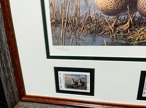 James Hautman 1993 Texas Waterfowl Duck Stamp Print With Double Stamps - Brand New Custom Sporting Frame