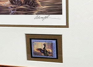 Adam Grimm 2000 Federal Migratory Duck Stamp Print With Double Stamps Artist Proof - Brand New Custom Sporting Frame