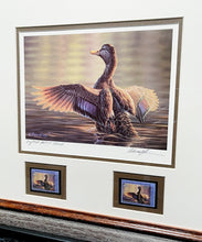 Load image into Gallery viewer, Adam Grimm 2000 Federal Migratory Duck Stamp Print With Double Stamps Artist Proof - Brand New Super Custom Sporting Frame