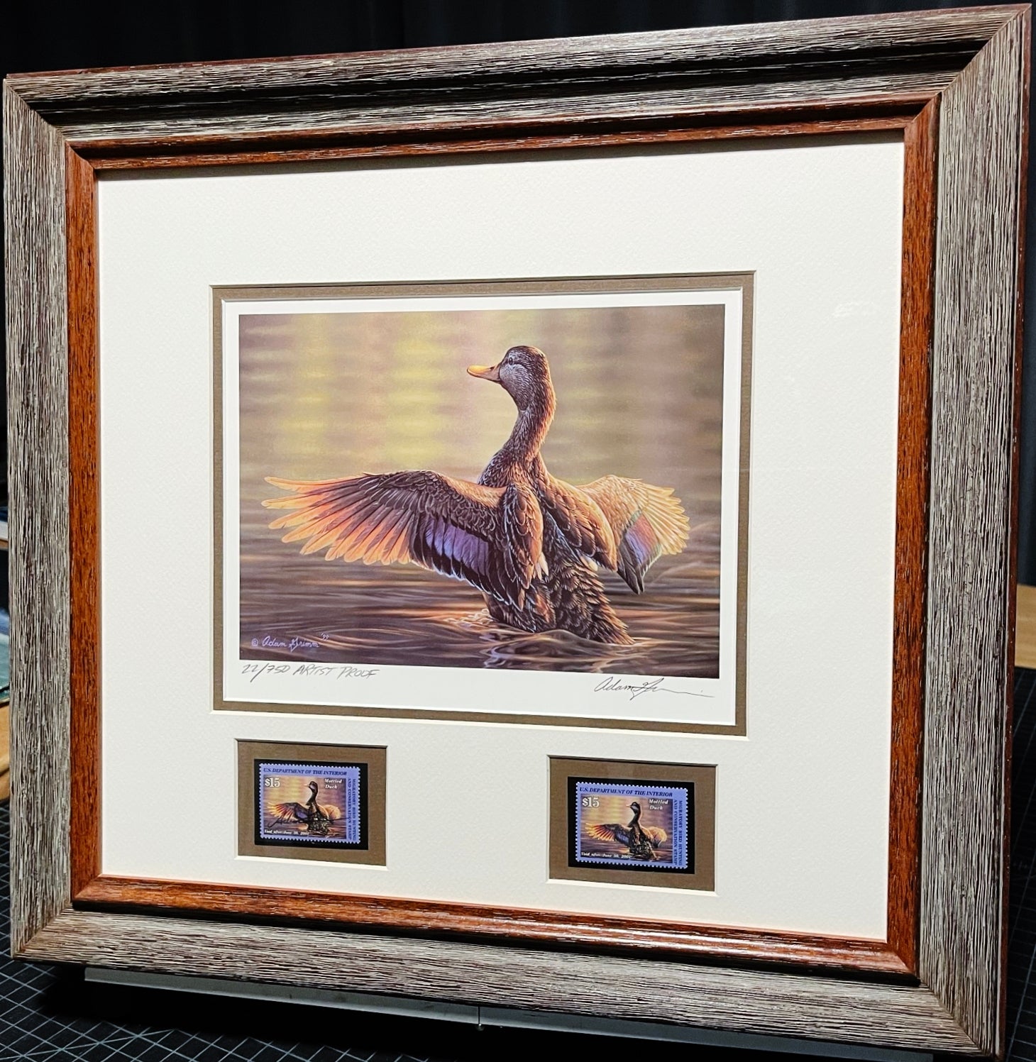 Adam Grimm 2000 Federal Migratory Duck Stamp Print With Double Stamps Artist Proof - Brand New Super Custom Sporting Frame