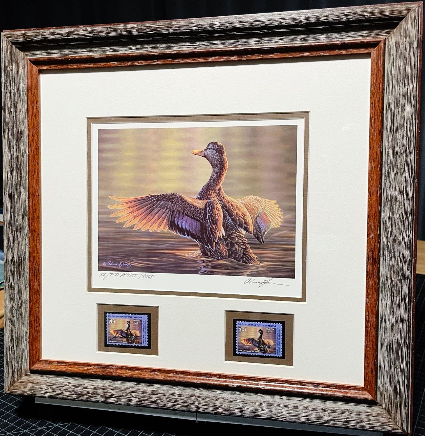 Adam Grimm 2000 Federal Migratory Duck Stamp Print With Double Stamps Artist Proof - Brand New Custom Sporting Frame