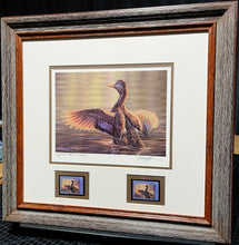 Load image into Gallery viewer, Adam Grimm 2000 Federal Migratory Duck Stamp Print With Double Stamps Artist Proof - Brand New Custom Sporting Frame
