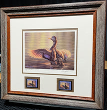 Load image into Gallery viewer, Adam Grimm 2000 Federal Migratory Duck Stamp Print With Double Stamps Artist Proof - Brand New Super Custom Sporting Frame
