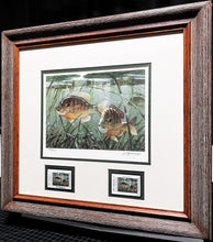 Load image into Gallery viewer, Al Barnes - 2006 Texas Freshwater Stamp Print With Double Stamps - Brand New Custom Sporting Frame
