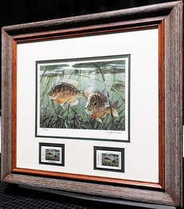 Al Barnes - 2006 Texas Freshwater Stamp Print With Double Stamps - Brand New Custom Sporting Frame