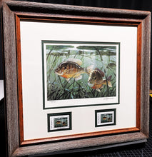 Load image into Gallery viewer, Al Barnes 2006 Texas Freshwater Stamp Print With Double Stamps - Brand New Custom Sporting Frame