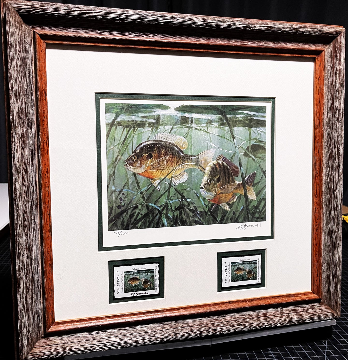 Al Barnes - 2006 Texas Freshwater Stamp Print With Double Stamps - Brand New Custom Sporting Frame