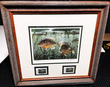 Load image into Gallery viewer, Al Barnes 2006 Texas Freshwater Stamp Print With Double Stamps - Brand New Custom Sporting Frame