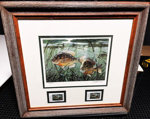 Al Barnes 2006 Texas Freshwater Stamp Print With Double Stamps - Brand New Custom Sporting Frame