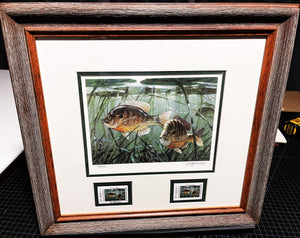 Al Barnes - 2006 Texas Freshwater Stamp Print With Double Stamps - Brand New Custom Sporting Frame