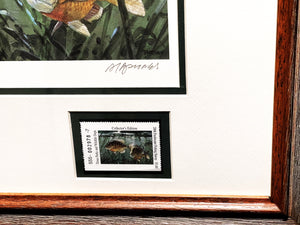 Al Barnes 2006 Texas Freshwater Stamp Print With Double Stamps - Brand New Custom Sporting Frame