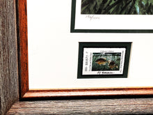 Load image into Gallery viewer, Al Barnes 2006 Texas Freshwater Stamp Print With Double Stamps - Brand New Custom Sporting Frame