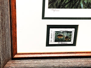 Al Barnes 2006 Texas Freshwater Stamp Print With Double Stamps - Brand New Custom Sporting Frame