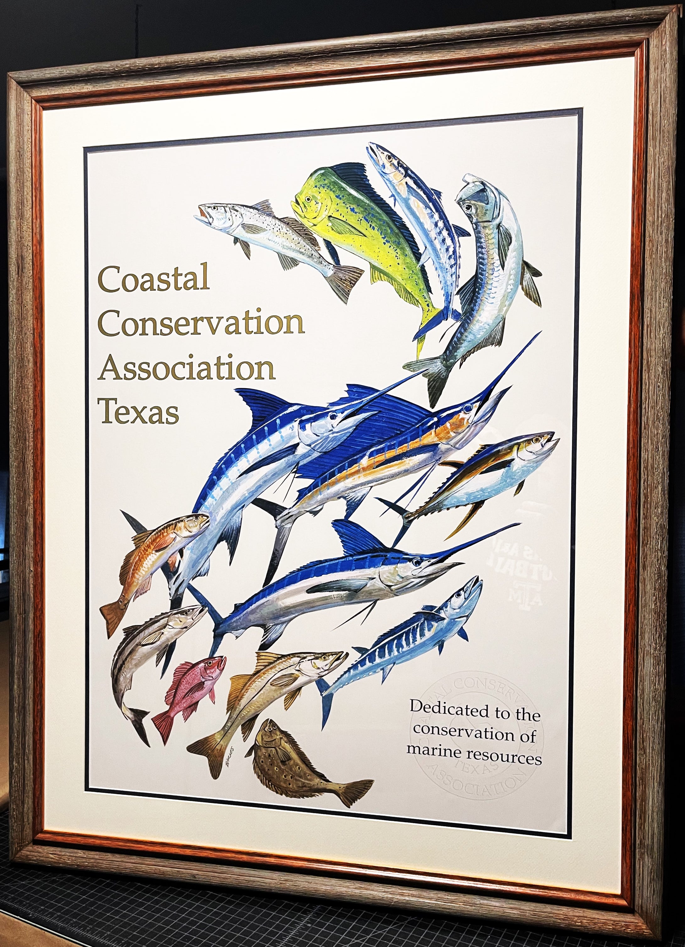 Al Barnes Coastal Conservation Association CCA Lithograph Quality Poster - Brand New Custom Sporting Frame