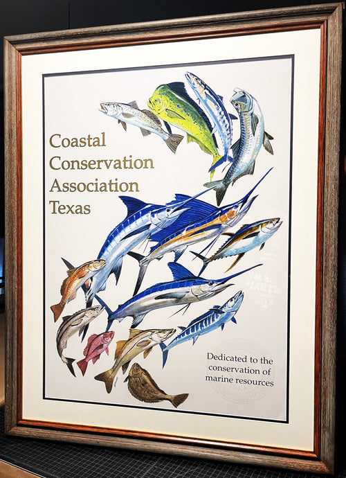 Al Barnes - Coastal Conservation Association CCA Lithograph Quality Poster - Brand New Custom Sporting Frame