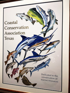 Al Barnes - Coastal Conservation Association CCA Lithograph Quality Poster - Brand New Custom Sporting Frame
