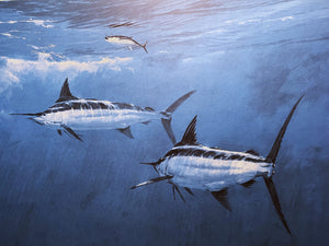 Al Barnes "Double Take" Lithograph Gulf Coastal Conservation Association GCCA CCA - Brand New Custom Sporting Frame