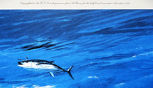 Load image into Gallery viewer, Al Barnes &quot;Double Take&quot; Lithograph Gulf Coastal Conservation Association GCCA CCA - Brand New Custom Sporting Frame