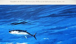 Al Barnes "Double Take" Lithograph Gulf Coastal Conservation Association GCCA CCA - Brand New Custom Sporting Frame