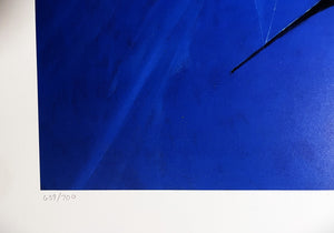 Al Barnes "Near Miss" Lithograph - International Game Fish Association IGFA- Year 1998 - Brand New Custom Sporting Frame