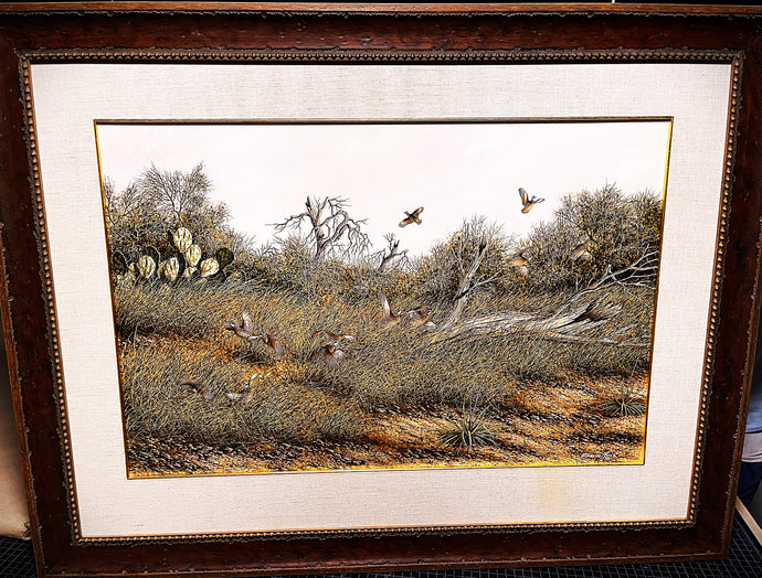Alberto Meza South Texas Bobwhites Original Watercolor Painting - Brand New Super Custom Frame