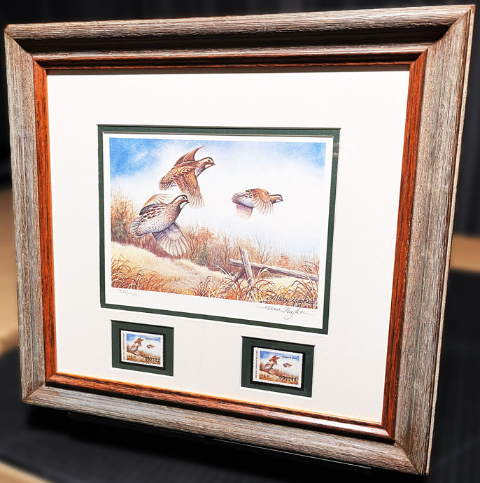 Allen Hughes 1982 Quail Unlimited Stamp Print With Double Stamps - Brand New Custom Sporting Frame