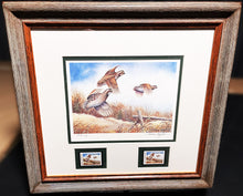 Load image into Gallery viewer, Allen Hughes - 1982 Quail Unlimited Stamp Print With Double Stamps - Brand New Custom Sporting Frame