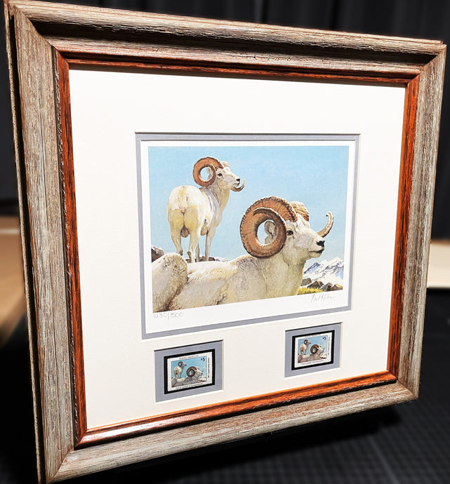Bob Kuhn 1981 North American Wild Sheep Foundation Stamp Print With Double Stamps - Brand New Super Custom Sporting Frame