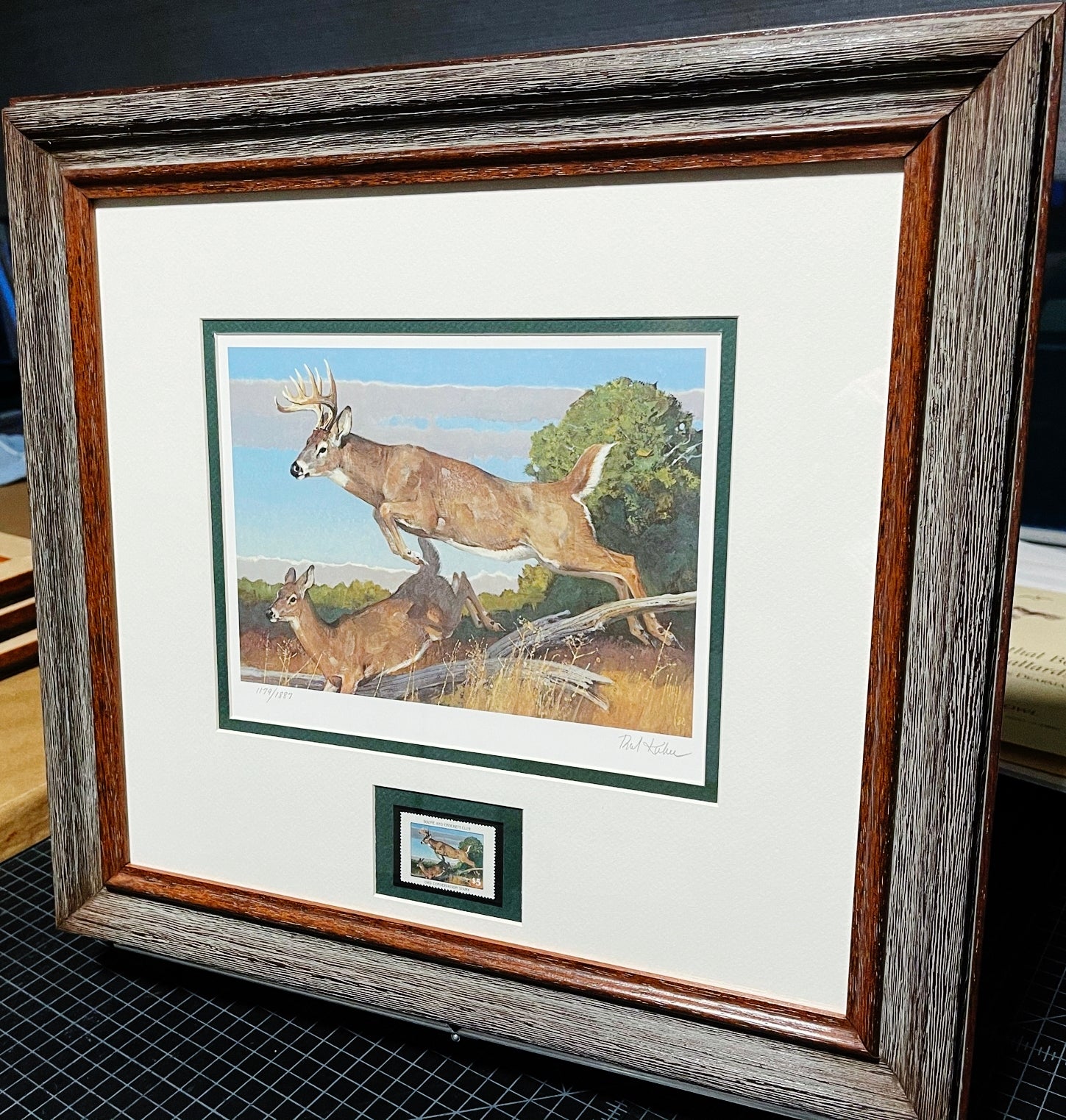 Bob Kuhn 1982 Boone And Crockett Club Stamp Print With Stamp - Brand New Super Custom Sporting Frame