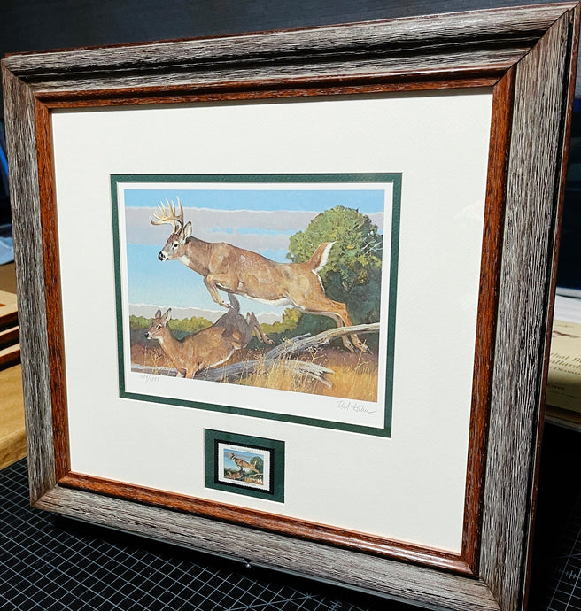 Bob Kuhn 1982 Boone And Crockett Club Stamp Print With Stamp - Brand New Super Custom Sporting Frame