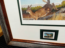 Load image into Gallery viewer, Bob Kuhn 1982 Boone And Crockett Club Stamp Print With Stamp - Brand New Super Custom Sporting Frame