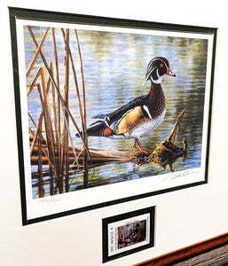 Bruce Miller - 2007 Texas Waterfowl Duck Stamp Print With Stamp - Brand New Custom Sporting Frame