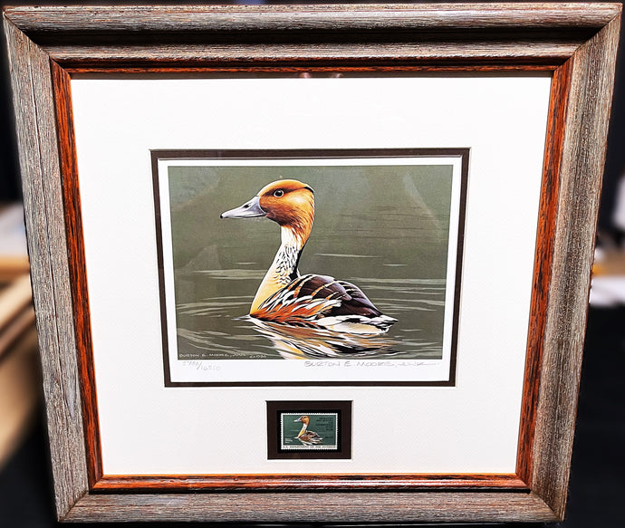 Burton Moore 1986 Federal Duck Stamp Print With Stamp - Brand New Super Custom Sporting Frame