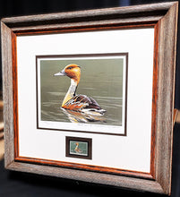 Load image into Gallery viewer, Burton Moore 1986 Federal Duck Stamp Print With Stamp - Brand New Super Custom Sporting Frame
