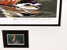 Load image into Gallery viewer, Burton Moore 1986 Federal Duck Stamp Print With Stamp - Brand New Super Custom Sporting Frame