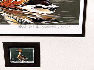 Burton Moore 1986 Federal Duck Stamp Print With Stamp - Brand New Super Custom Sporting Frame