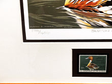 Load image into Gallery viewer, Burton Moore 1986 Federal Duck Stamp Print With Stamp - Brand New Super Custom Sporting Frame