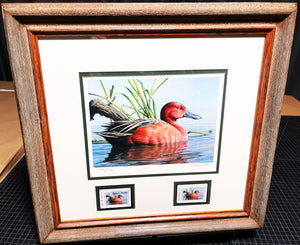 Calvin Carter 2014 Texas Waterfowl Duck Stamp Print With Double Stamps - Brand New Super Custom Sporting Frame